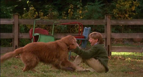 Peter and Shadow from "Homeward Bound".