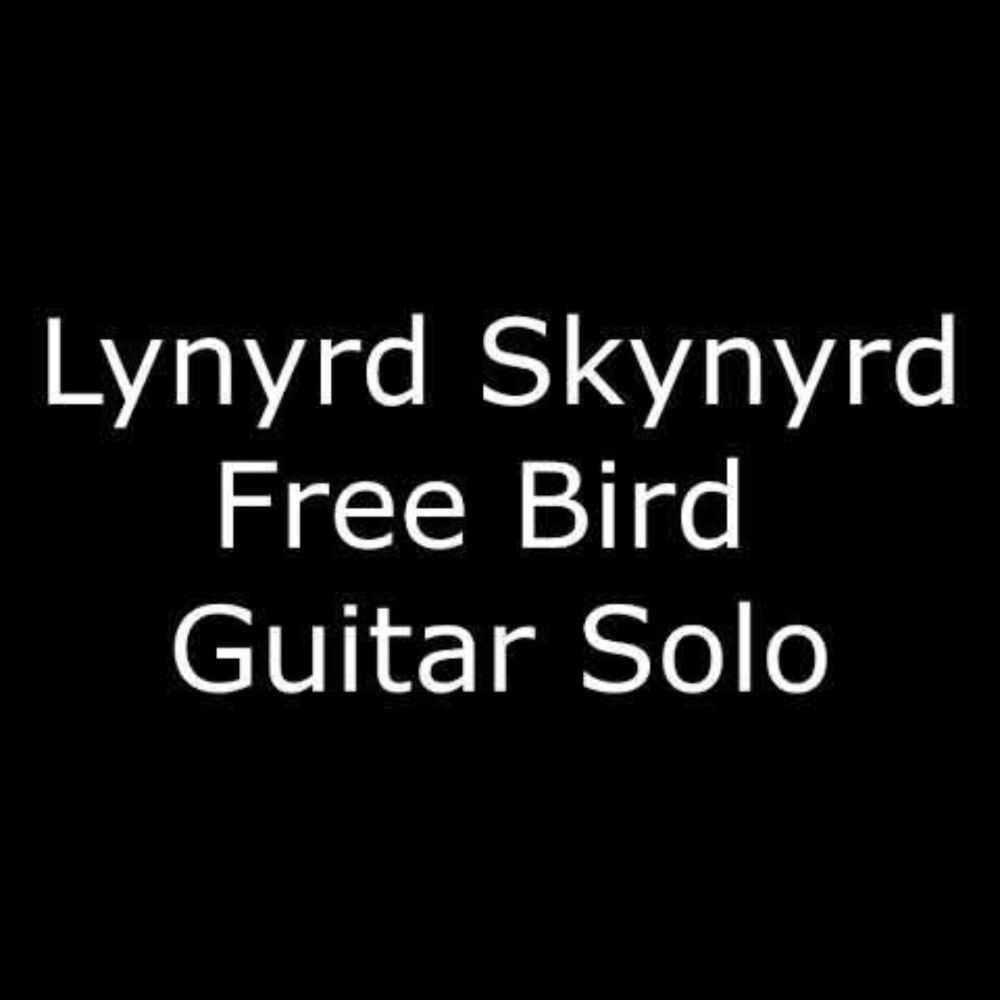 10 HOUR - Free Bird Guitar Solo - Lynyrd Skynyrd