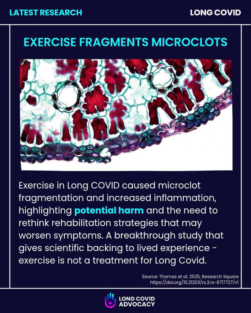 Microscopic image of stained tissue with red and purple clusters resembling fragmented microclots. Above the image is a bold turquoise headline: “EXERCISE FRAGMENTS MICROCLOTS.” Below, a navy-blue text box explains that exercise in Long COVID causes microclot fragmentation and inflammation, highlighting potential harm and the need to rethink rehabilitation. The Long Covid Advocacy logo appears at the bottom, alongside the study citation: Thomas et al. 2025, Research Square.


