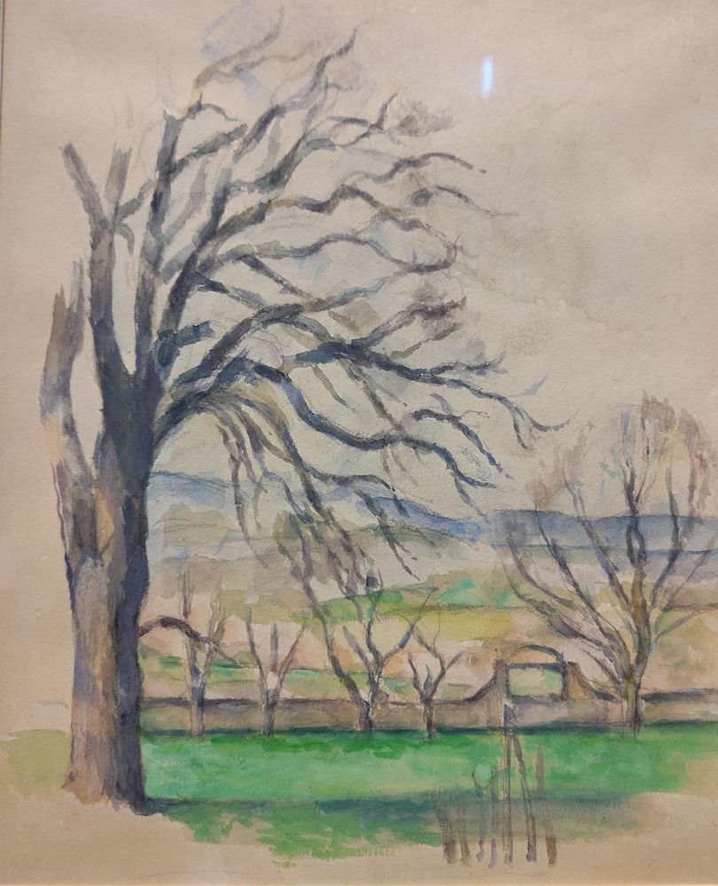 Arbre dépouillé Jas de Bouffan à aixenprovence par Cezanne 1878-1880