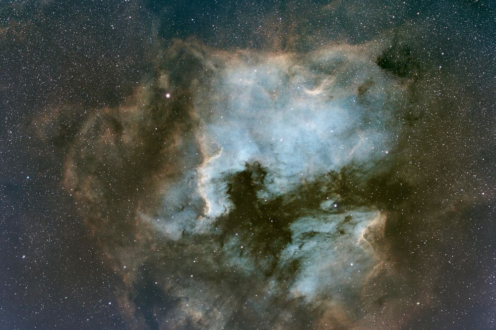 The pale blue North American nebula in Cygnus flies over the Pelican nebula, framed by a rose colored wispy nebula. More details in my gallery: https://app.astrobin.com/i/nv8gfh