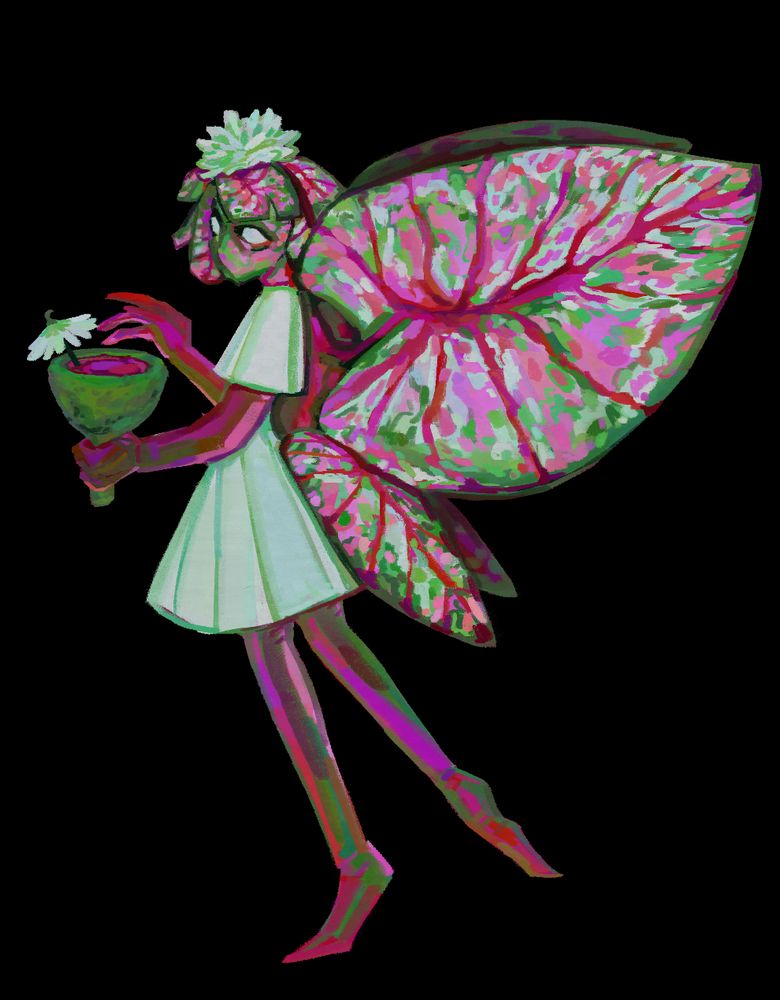 A colored drawing of a pixie based on the caladium plant. It's a full body side view with the pixie looking towards the camera and holding a green lichen filled with pink liquid. It has a decorative white flower umbrella. The pixie's skin, hair, and wings are pink and green, with red veins and white dots. The hair is short. The hair and wings are both based on caladium leaves, with the red stem-veins connecting them to its back. It has a white flower-puff headpiece, seemingly connected to a headband. and a short white dress with short sleeves. 
