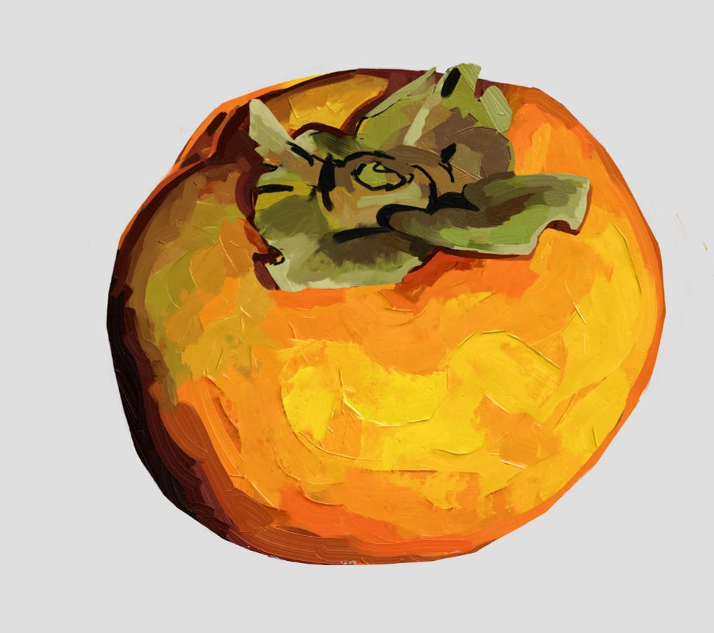 The shading on the persimmon is more fleshed out here. On the leaves, blocks of black and dark brown are used to indicate harsh shadow on the leaves. A gradient to off-white has also been introduced to the leaves. On the flesh, the shadowing has been extended to the back, upper portion of the fruit away from the slight source. A cast light has also been added.