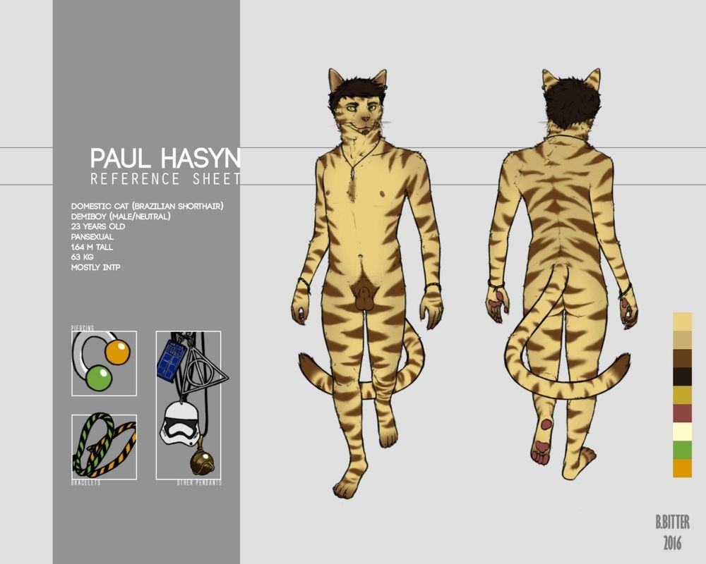 Paul Hasyn reference sheet, nude and sheathed
