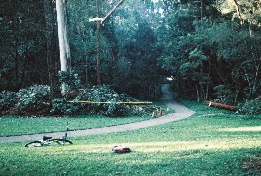 35mm polaroid 1-shot 400 iso
Praktica LTL