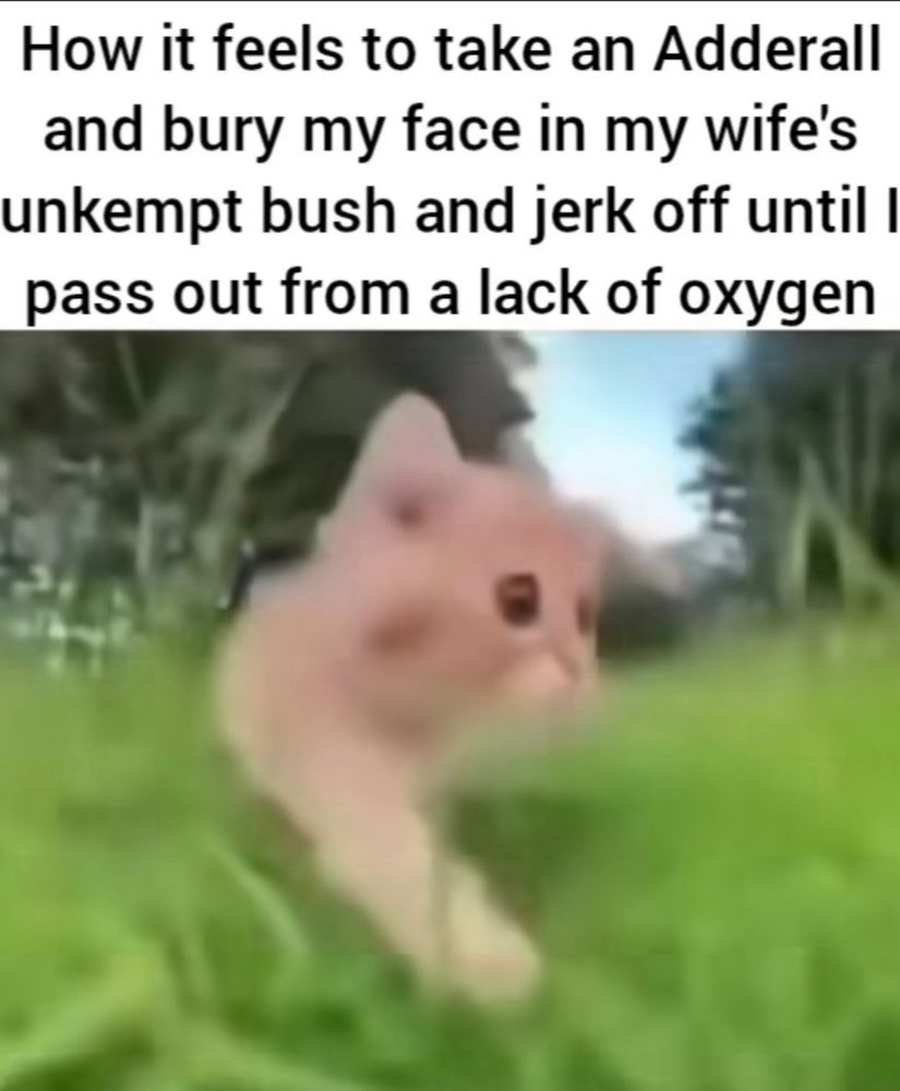 TEXT: how it feels to take an adderall and bury my face in my wife’s unkempt bush and jerk off until i pass out from a lack of oxygen