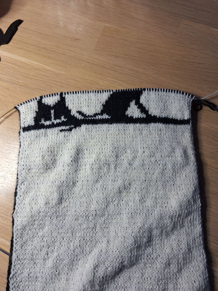 Double knitted scarf with a pattern of 2 cats. Work in progress