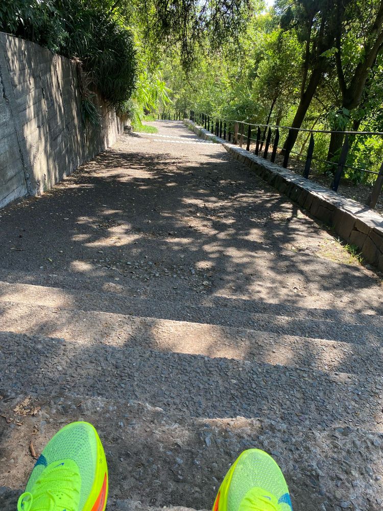 Cerreando !! #CerroSanCris 💪☀️🔥