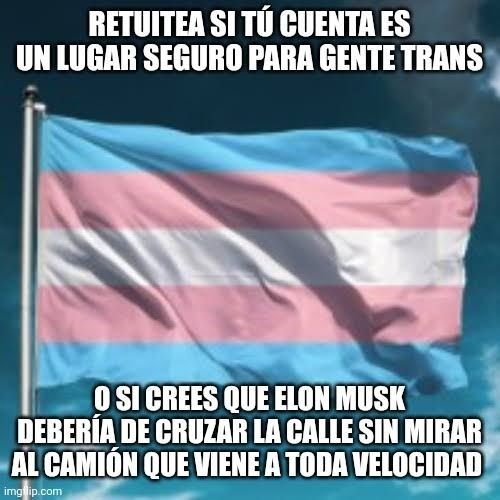 Retuitea si tu cuenta es un lugar seguro para gente trans o si crees que Elon Musk Debería cruzar la calle sin mirar 