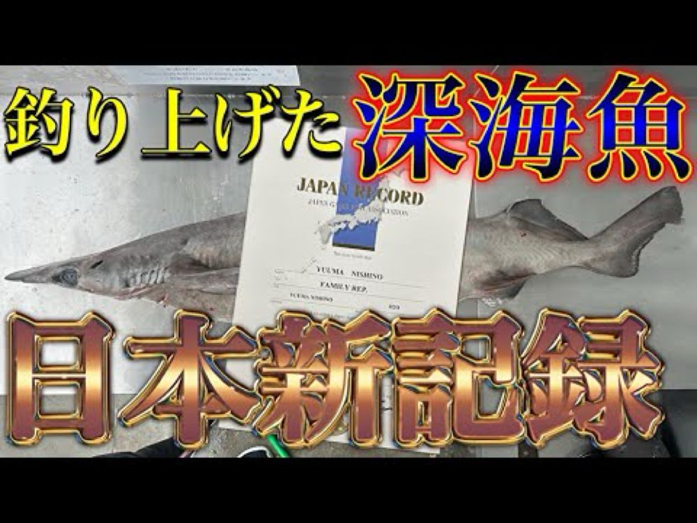 【日本新！！】相模湾の深海から大物が出た！釣り上げた深海魚が日本記録に！夢が広がる深海世界！