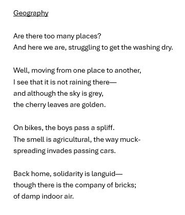Geography

Are there too many places?
And here we are, struggling to get the washing dry.

Well, moving from one place to another,
I see that it is not raining there—
and although the sky is grey,
the cherry leaves are golden.

On bikes, the boys pass a spliff.
The smell is agricultural, the way muck-
spreading invades passing cars.

Back home, solidarity is languid—
though there is the company of bricks;
of damp indoor air.
