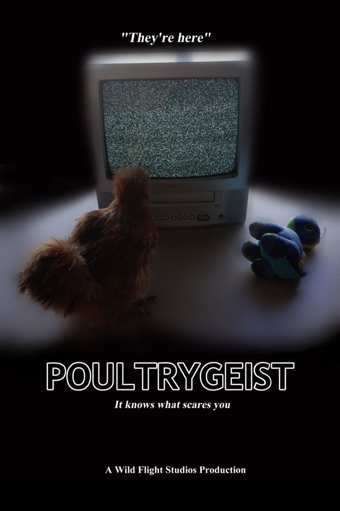 A spoof of the poster for the movie Poltergeist. The title has been changed to Poultrygeist. Above the title is the quote, "They're here," and the subtitle reads, "It knows what scares you." The poster features a darkened image of an orange silkie chicken staring at static on the screen of an old-fashioned TV, standing slightly to the left. A small plushie dinosaur sits in the same spot on the other side. The bottom of the poster reads "A Wild Flight Studios Production."