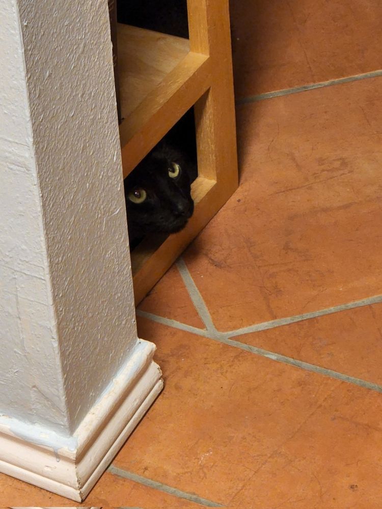 A photo of a black cat peeking out from underneath a bookshelf. You can just see his face and nothing else