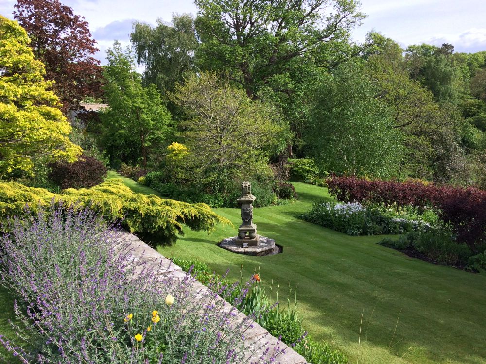 A grass lawn surrounded by trees at Inveresk Lodge