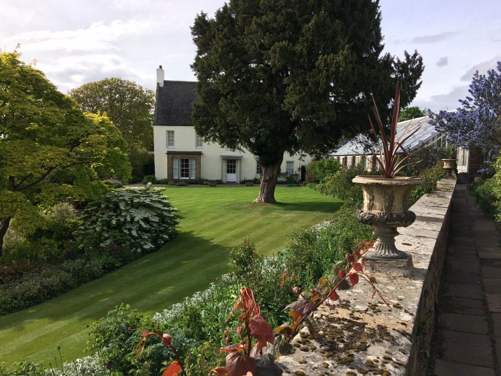Inveresk Lodge Gardens. A green lawn with a tree and a white house in the background