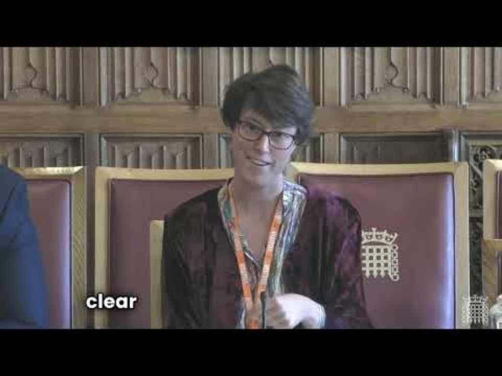 Dr Maya Singer Hobbs at the House of Lords Built Environment Committee