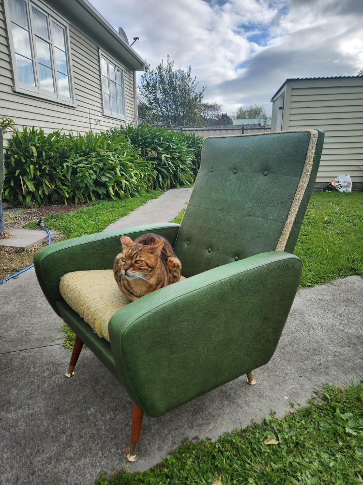 Dark green vinyl chair from the original post, now with Tori's cat sitting on it in classic loaf form