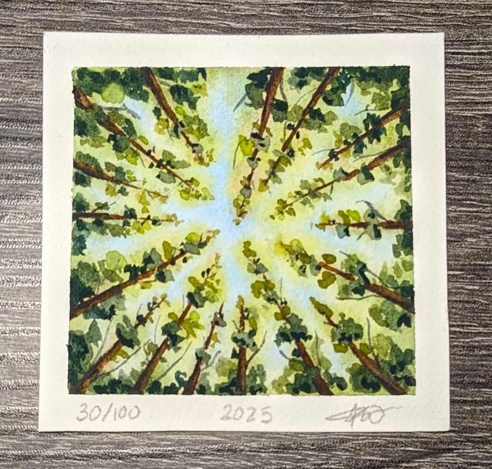 Watercolor painting of an ant's view of a forest looking up to the sky. The trees line the edges of the painting and all reach towards the center of the painting where much of the sky is visible. The trees are larger at the bottom and become narrower towards the center of the painting.
