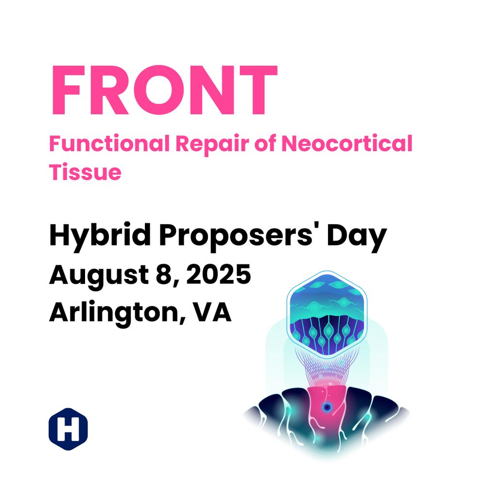 FRONT, Functional Repair of Neocortical Tissue. Hybrid Proposers’ Day, August 8, 2025, Arlington, with digital illustration of the brain with a close up of the cortex and the ARPA-H logo.