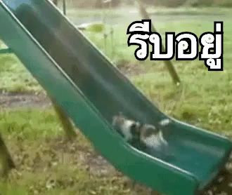 a dog is going down a slide in a park with a foreign language written on it