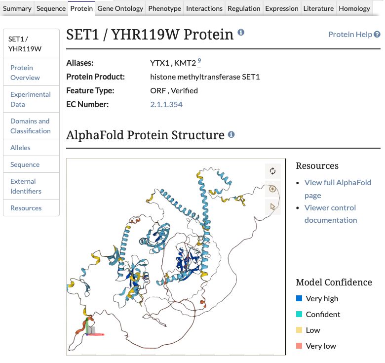 screenshot of SGD Protein page for Set1p showing AlphaFold structure