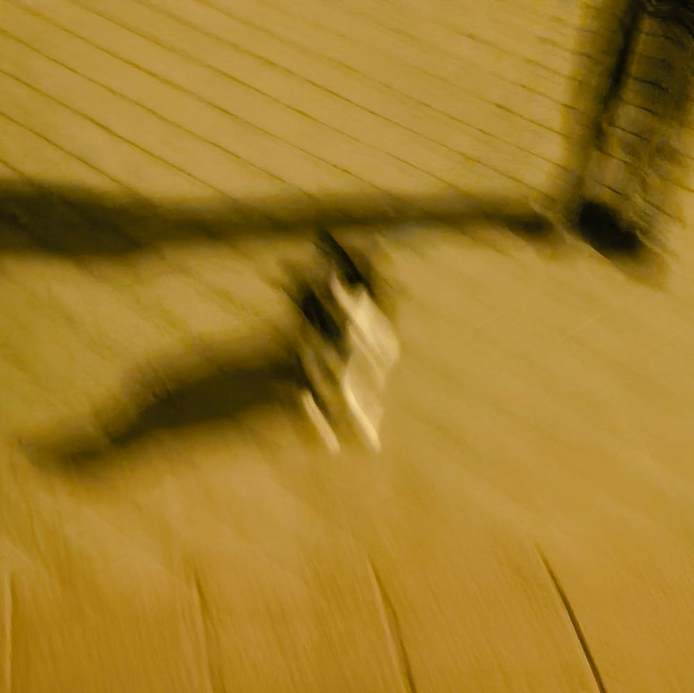 Foto borrorsísima de un gato en la calle con una correa, que bien podría ser cualquier cosa pero, te digo yo a tí que te estas molestando en leer el alt, que lo era