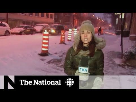 False report, real consequences in Quebec