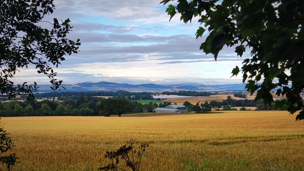 A view over a field to Fife, Scotland 