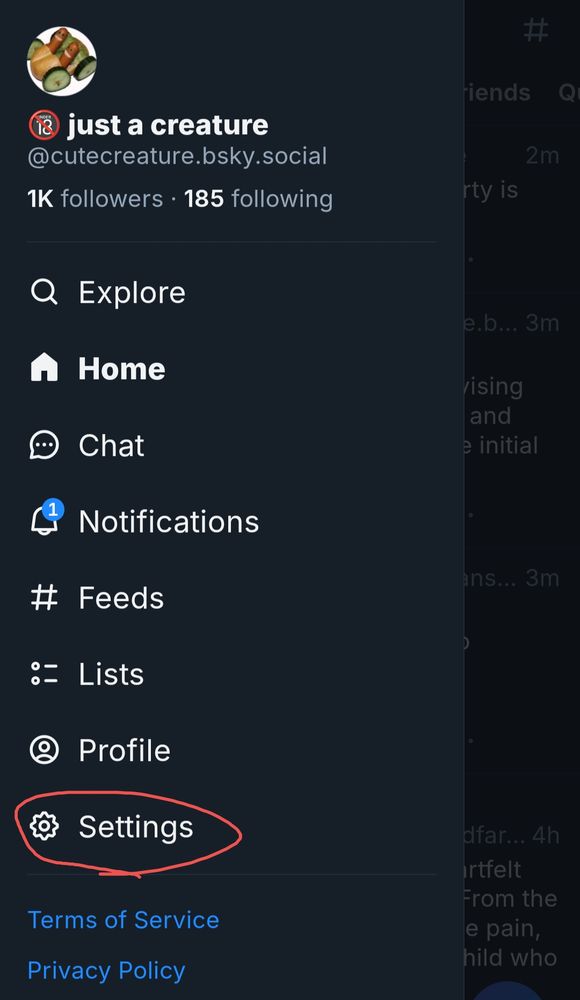 Screenshot of the Bluesky sidebar menu with "Settings" circled in red