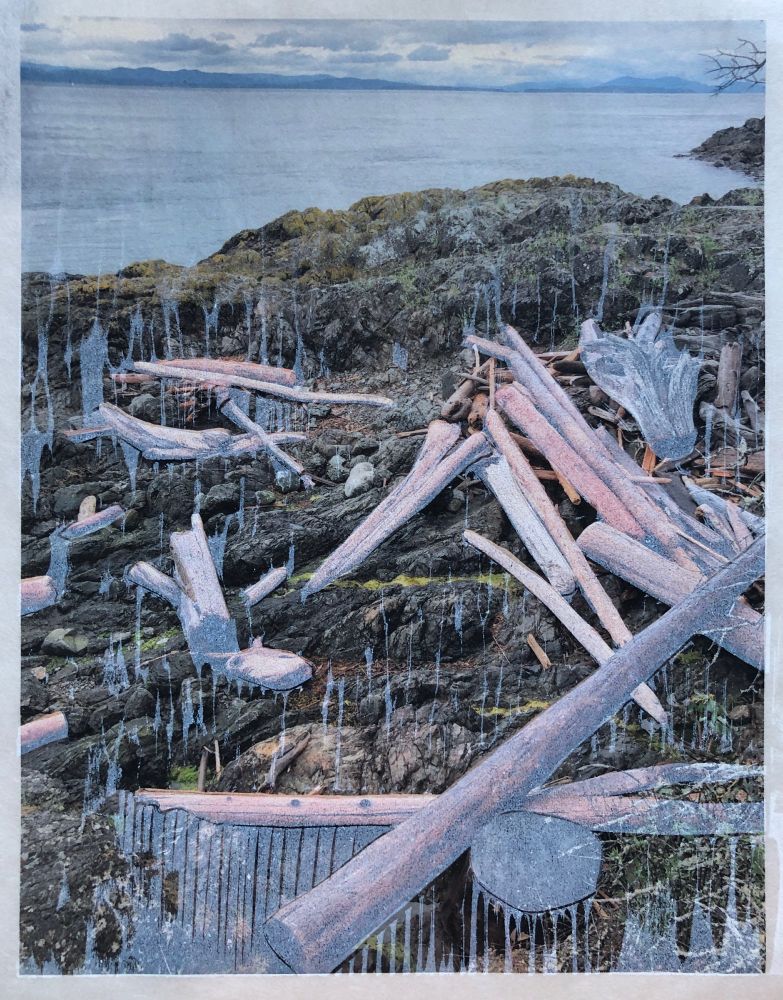 Ink jet and woodblock printed image of driftwood on a rocky shore but the wood has been printed over with white ink so the color is somewhat desaturated in those areas