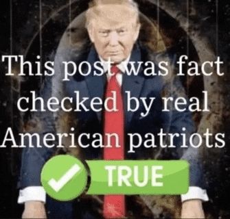 a picture of donald trump with the caption this post was fact checked by real american patriots and a green check mark