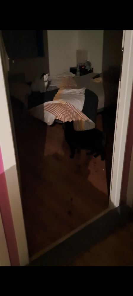 Pareil mais dans une 2eme pièce 