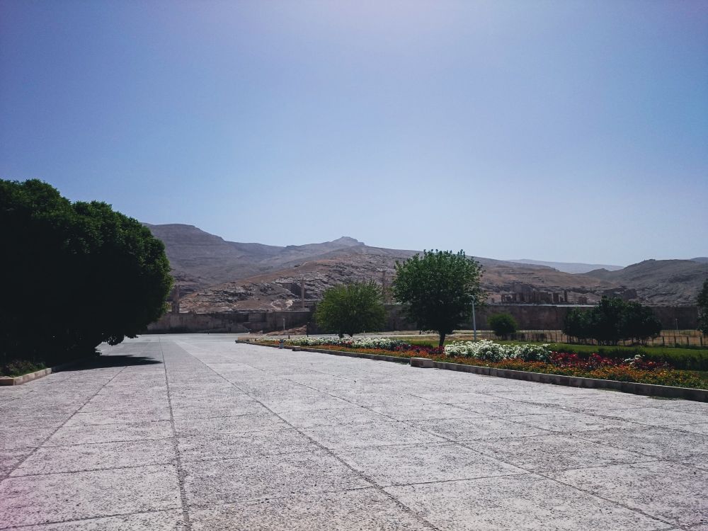 A wide entrance boulevard leads towards the distant ruins of Persepolis, which sit atop a large terrace. The walkway is flanked by green lawns, flower beds, and trees, including a very large, dense leafy tree dominating the left side of the frame.