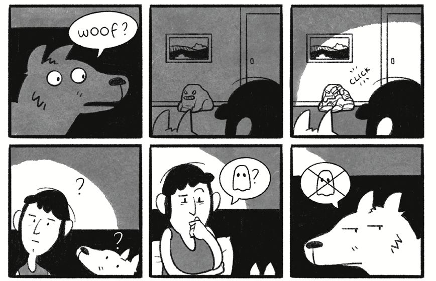 Excerpt from "What was That" by Walt Carlson. A dog and a woman puzzle out the source of a strange sound at night (the dog is confident it was not a ghost)