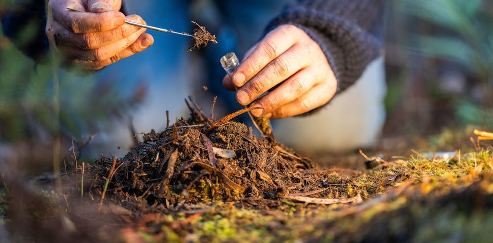 Étudier la Terre sans la détruire davantage : comment faire de la recherche bas-carbone ?