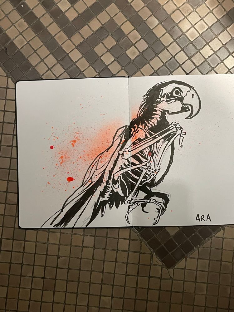 A drawing of a stuffed macaw parrot showing half of its skeleton and plumage.