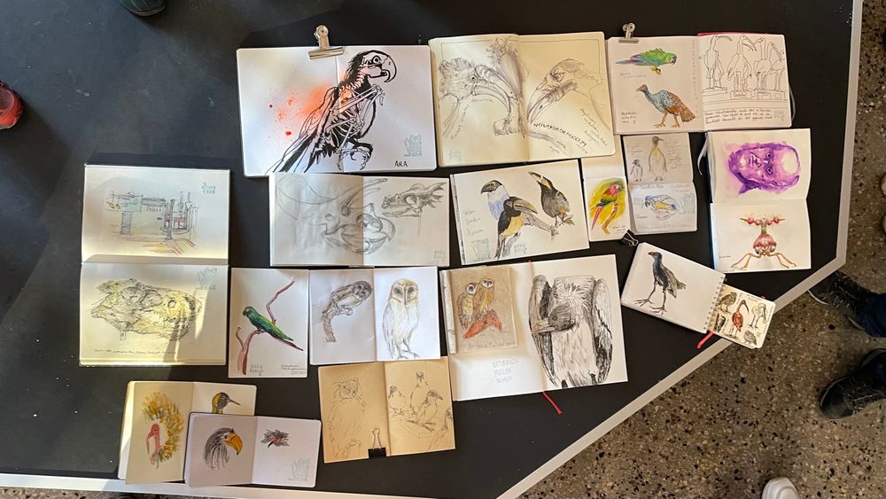 The Berlin Urban Sketchers Throwdown in the of Natural History Museum.