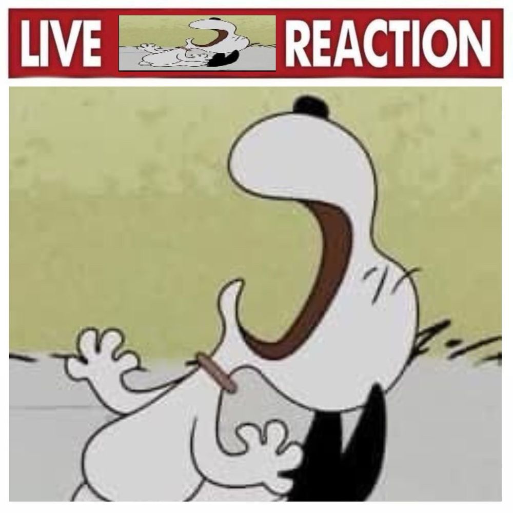 meme com o snoopy chorando de boca aberta. acima, há um texto “live [a mesma imagem do snoopy] reaction”