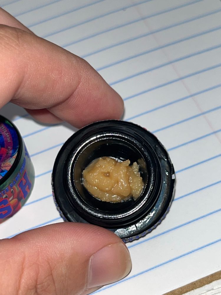 Piegasm punch live rosin from snow tree farms