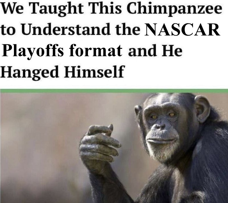"We Taught This Chimpanzee to Understand the NASCAR Playoffs format and He Hanged Himself" based on the old Onion article