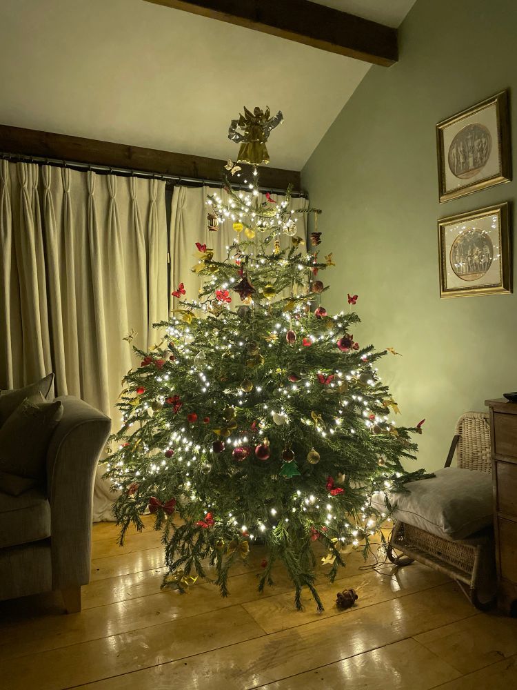 Traditional Christmas tree all lit up 