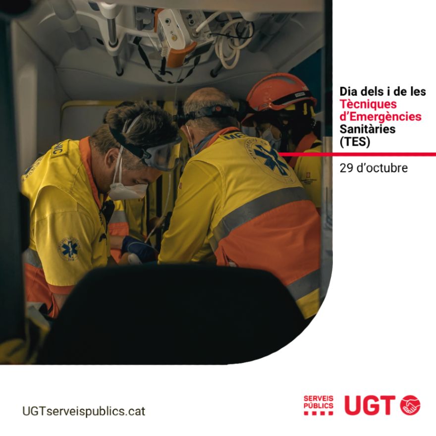 Dia dels i de les TES