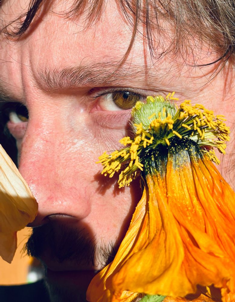 Ein Close up eines Gesichts. Man sieht ein braunes Auge, das hinter einer verwelkten Mohnblume ist. 