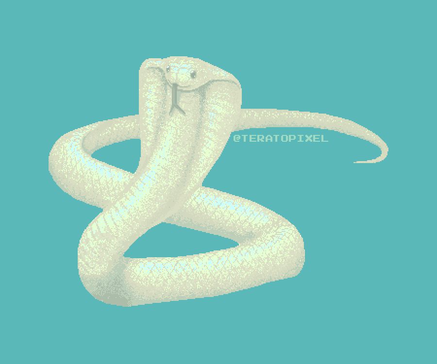 PT: Desenho em pixel art de uma naja branca. Suas escamas são iridescentes, como os robes do personagem no desenho anterior e seu corpo faz uma linha sinuosa em formato de um “s”. Ela está com a língua para fora e o “capuz” aberto.

EN: Pixel art drawing of a hooding white cobra, whose body is in an “S” shape. It has white, iridescent scales, just like the previous character’s robes.