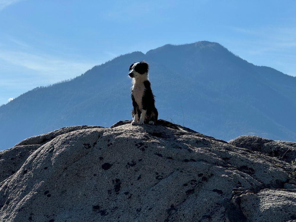 3.5 months above the beach. 