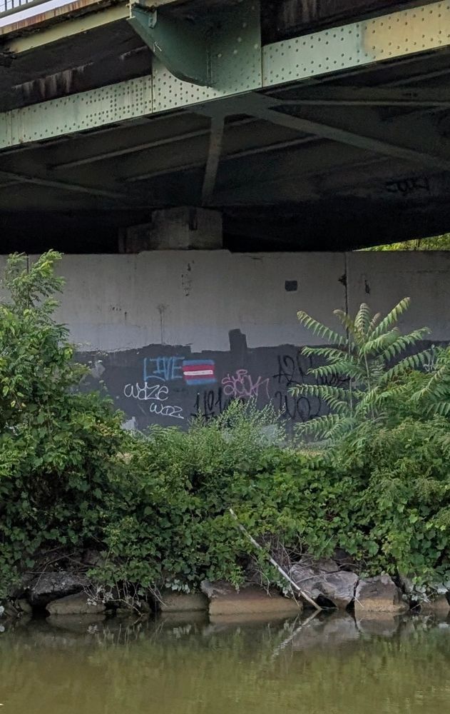 A concrete wall next to the Erie Canal has a trans flag graffiti that says LIVE