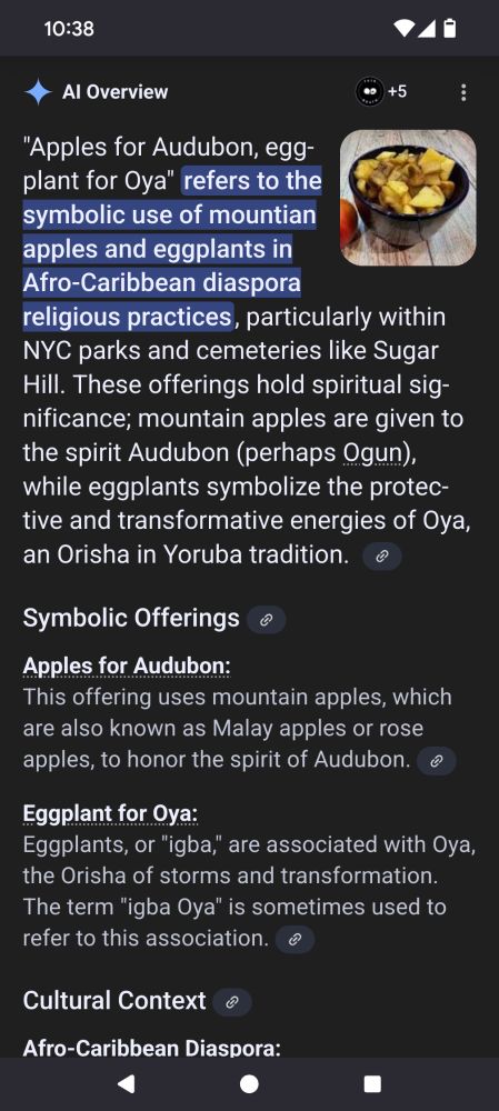 An AI overview of an article titled "Apples for Audubon, Eggplant for Oya." The AI has decided that the title of the article is a concept rather than the article title, and that mountain apples are related to the concept. This is wrong. 