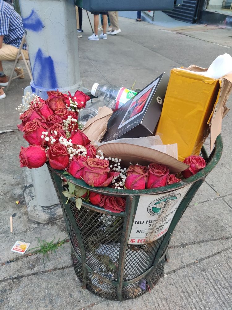 A New York City municipal trash can, filled with a dozen fading roses and other pieces of trash.
 
