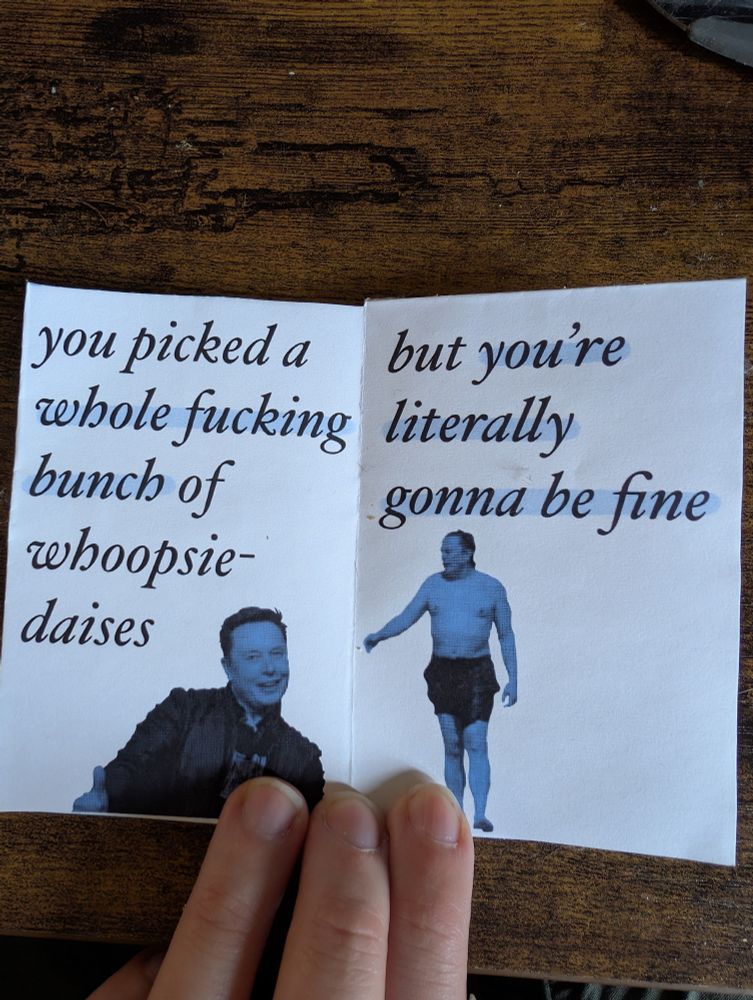 Page 3: you picked a whole fucking bunch of whoopsie-dasies
Image Elon grinning 
Page 4: but you're literally going to be fine
Image Elon standing shirtless in swim trunks pointing to his side