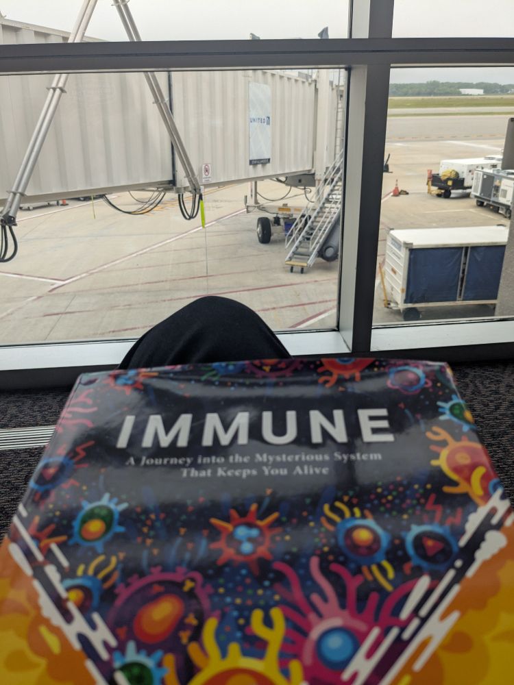 Photograph of Phillip Dettmer's "Immune", taken with an airport jet bridge in the background.